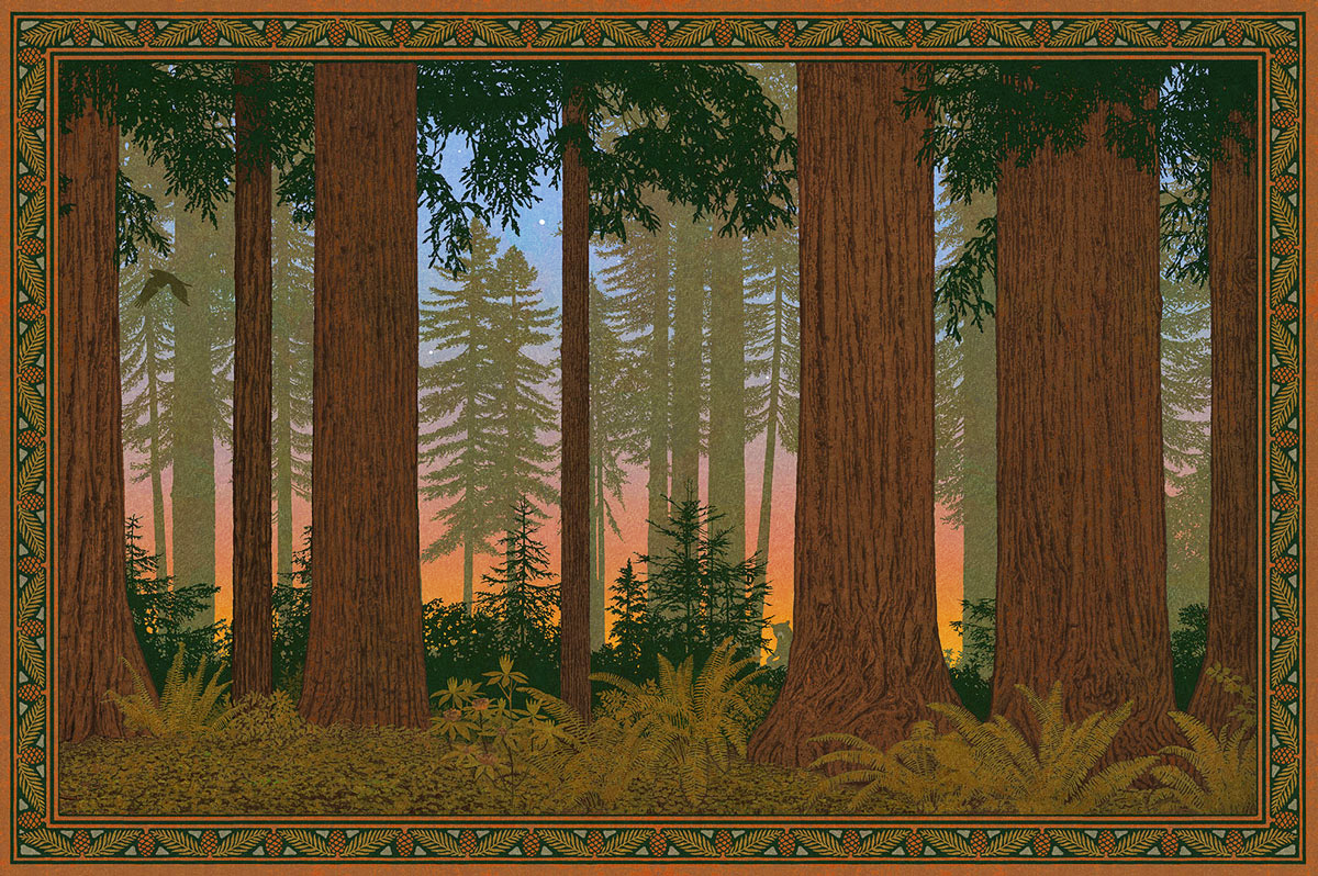 Redwood Art Poster, click to enlarge